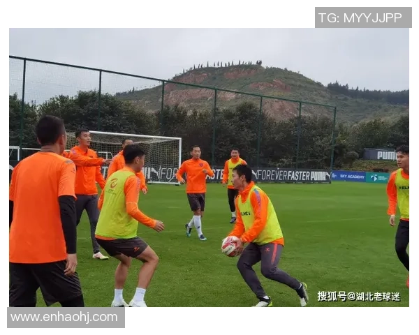 武汉羽毛球队在城市联赛中以60分稳居积分榜首位展现强劲实力